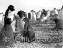 La Conquête des Pôles par Paul Emile Victor La Conquête des Pôles par Paul Emile Victor