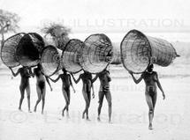 L’Afrique par Nicolas Hulot L’Afrique par Nicolas Hulot