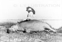 L’Afrique par Nicolas Hulot L’Afrique par Nicolas Hulot