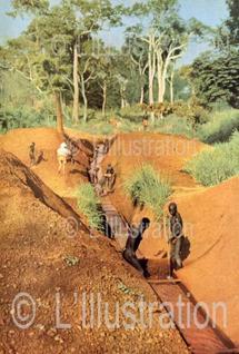 L’Afrique par Nicolas Hulot L’Afrique par Nicolas Hulot